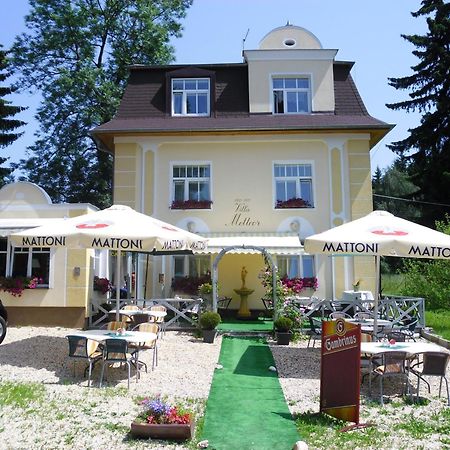 Villa Meteor Mariánské Lázně Extérieur photo
